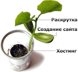 Сколько стоит сайт